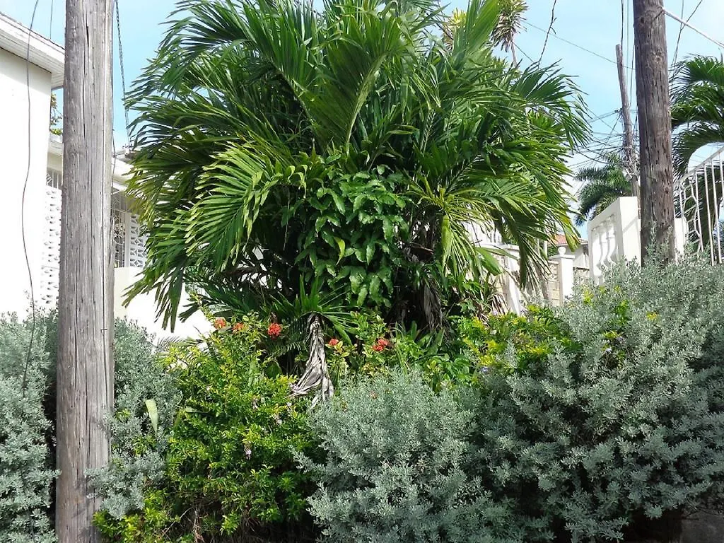 ** Guest house Bethel Court Guesthouse Montego Bay Jamaica