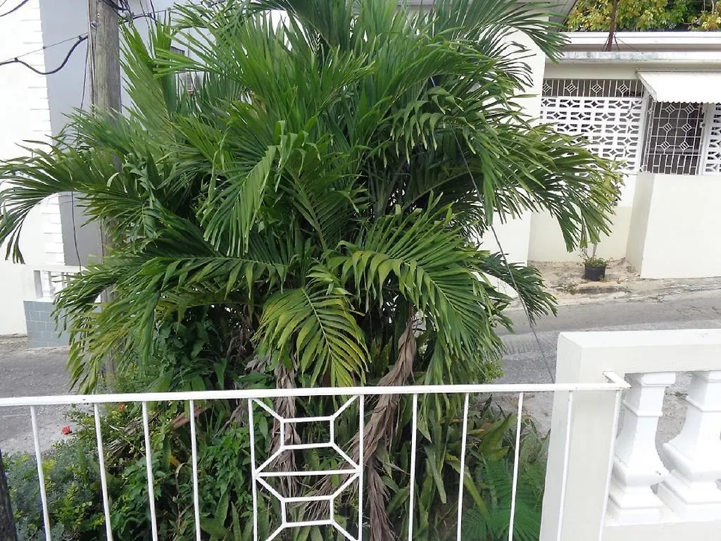 Bethel Court Guesthouse Montego Bay